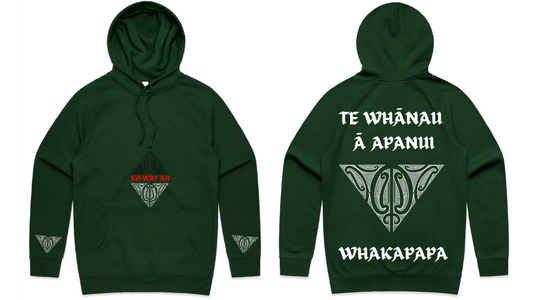 TE WHĀNAU-Ā-APANUI hoodie